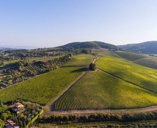 Toscane